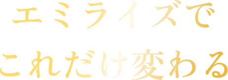 エミライズでこれだけ変わる